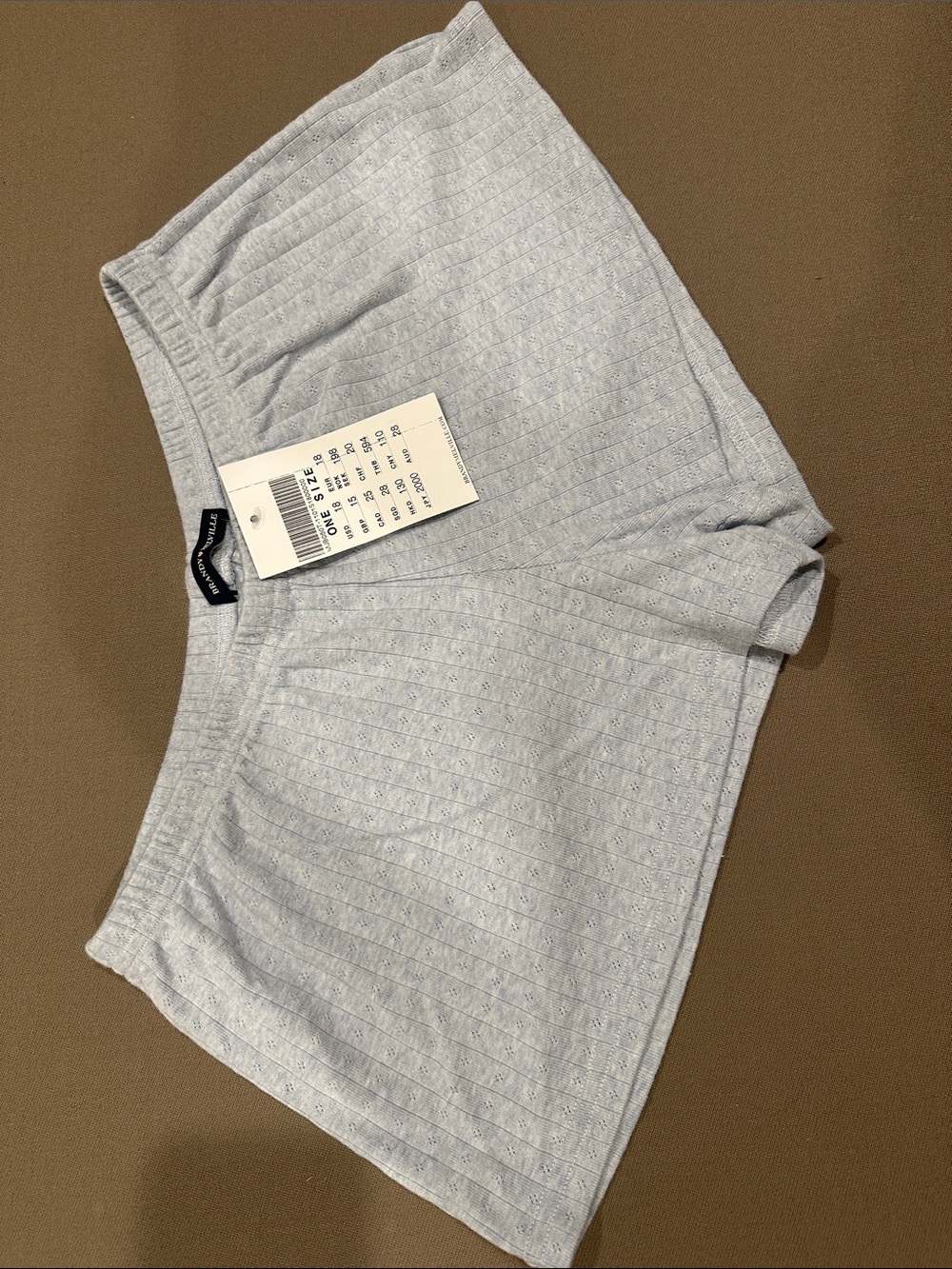 Brandy Melville light blue pointelle shorts